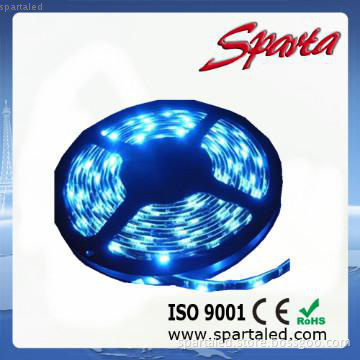 building decorative lighting 60pcs 15W DC12V 5050 led strip light